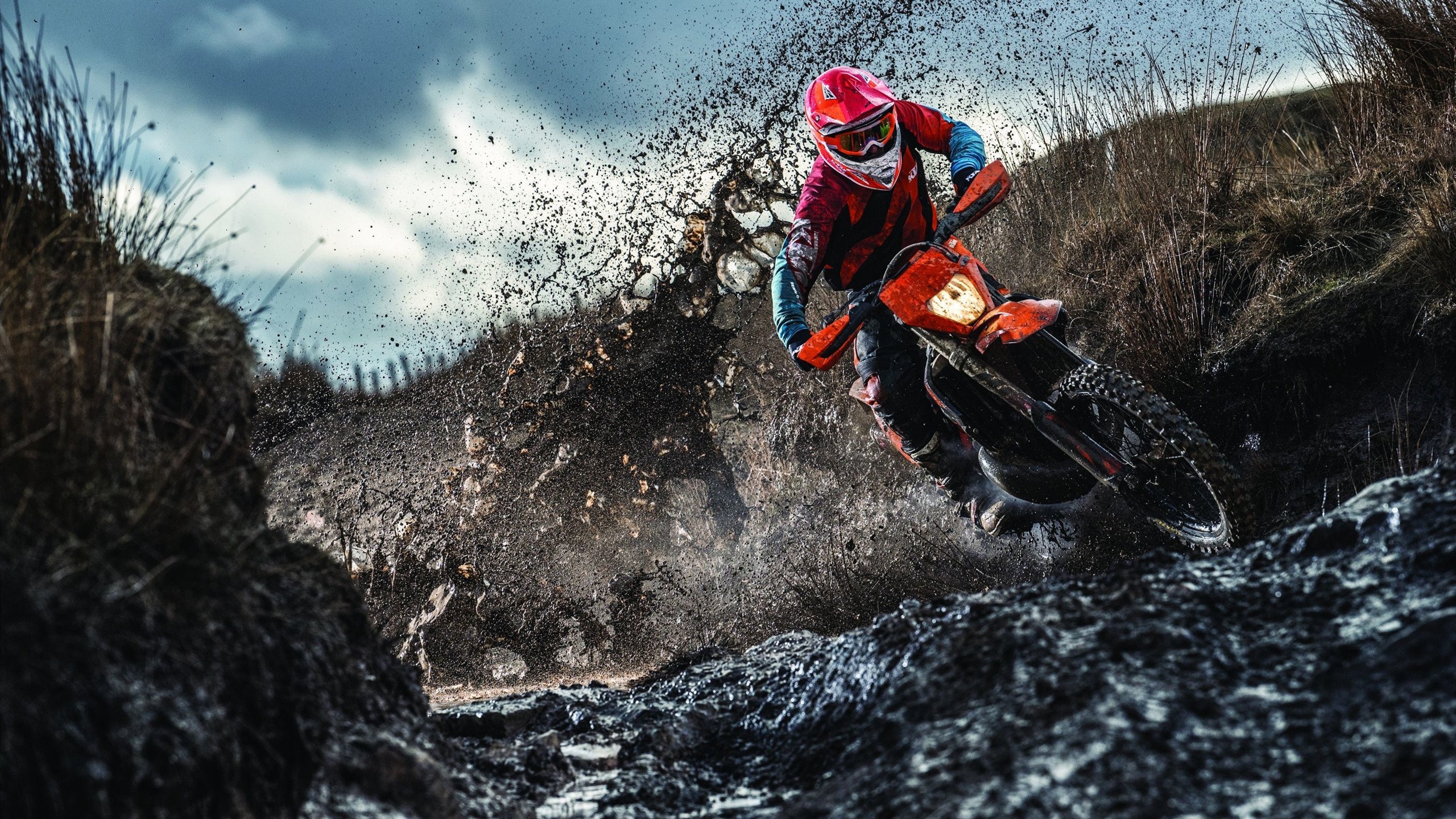 巴西马术协会与大学合作,开展马术运动营养研究,优化饮食方案。